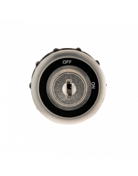 Off/On Keyswitch (Removable 2 Pos)