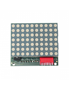 TC3 50 2-Digit Dot Matrix Indicator c/w Rear Terminals