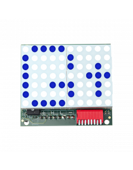 Blue 2-Digit Dot Matrix Indicator c/w Rear Terminals